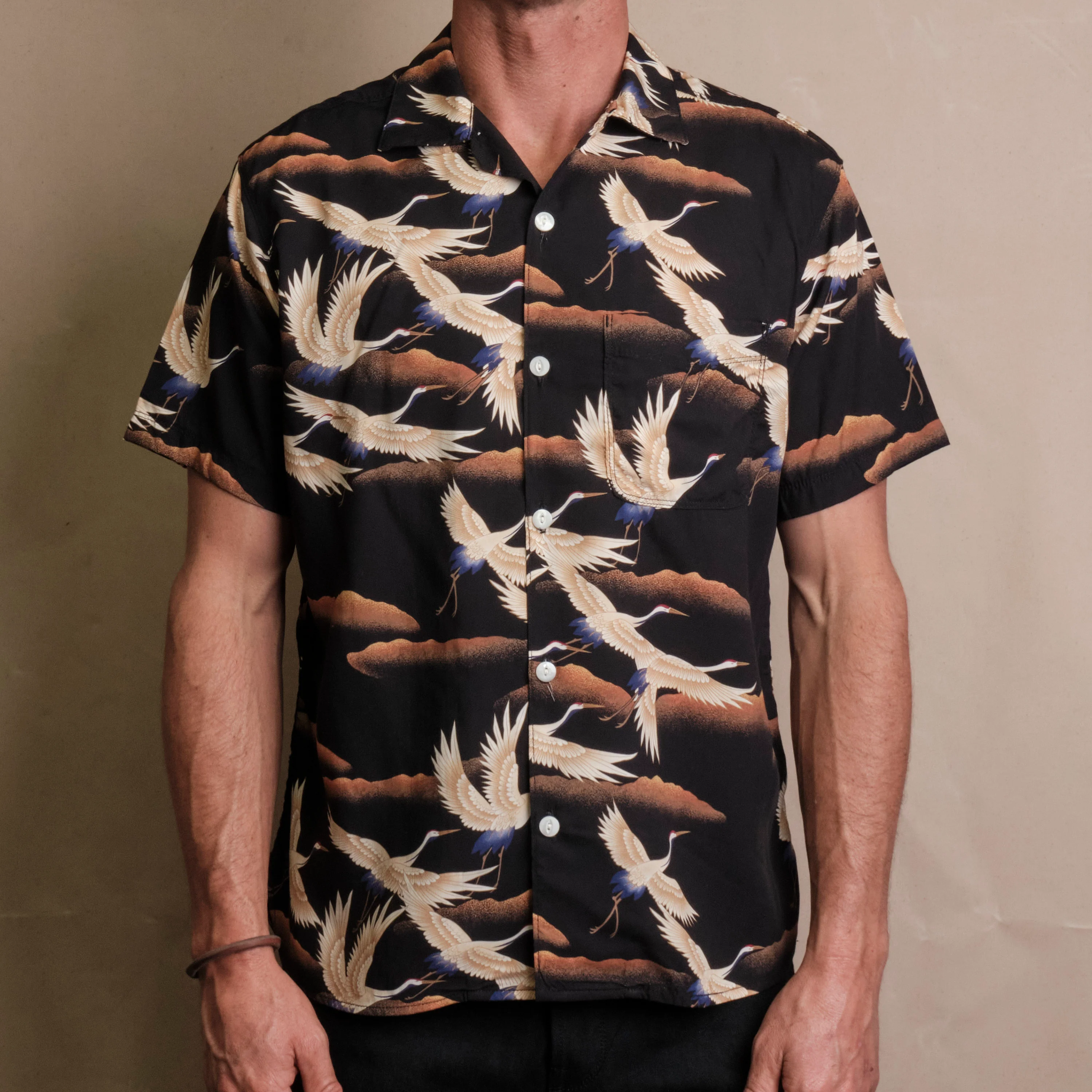 Hawaiian Black Crane - Image 2