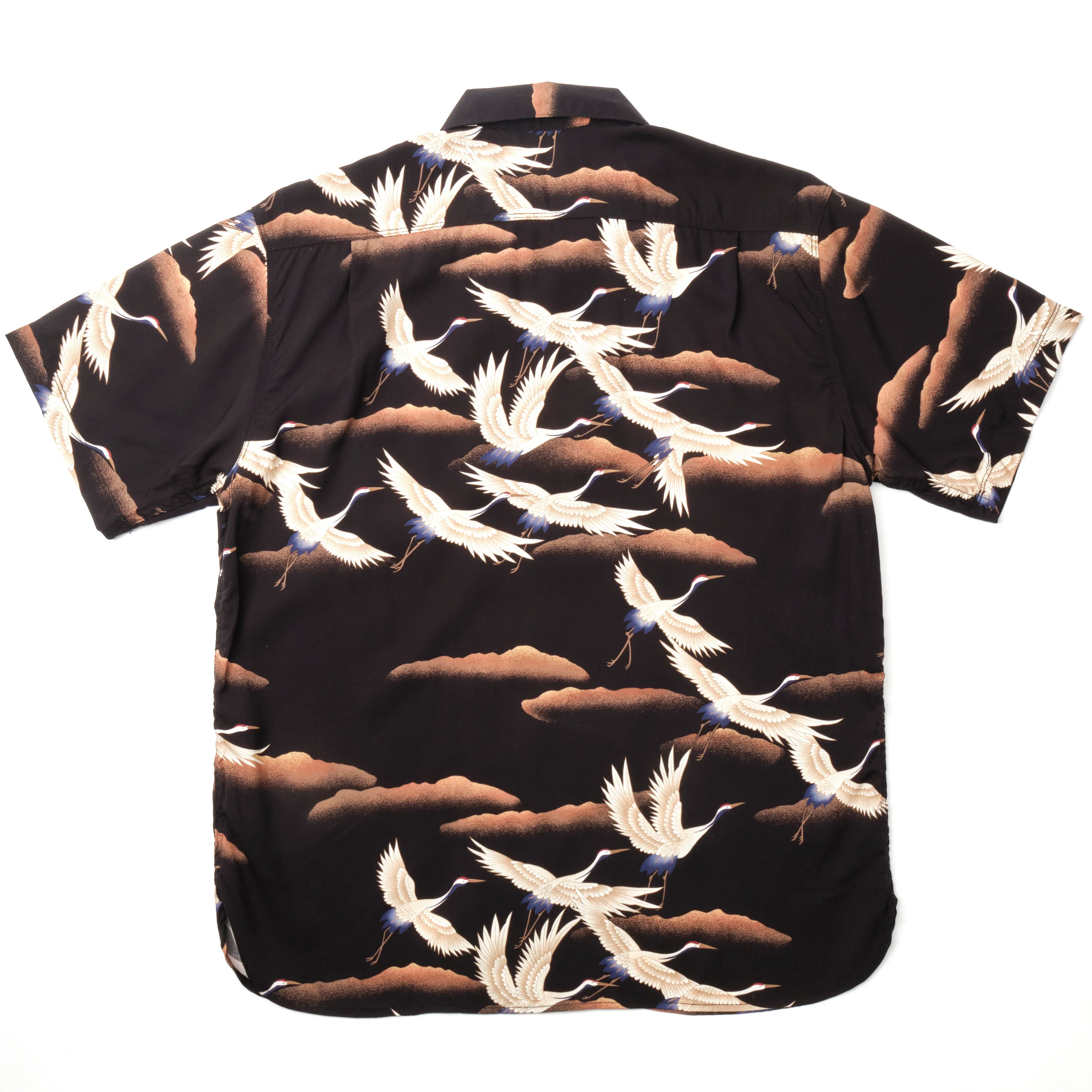 Hawaiian Black Crane - Image 4