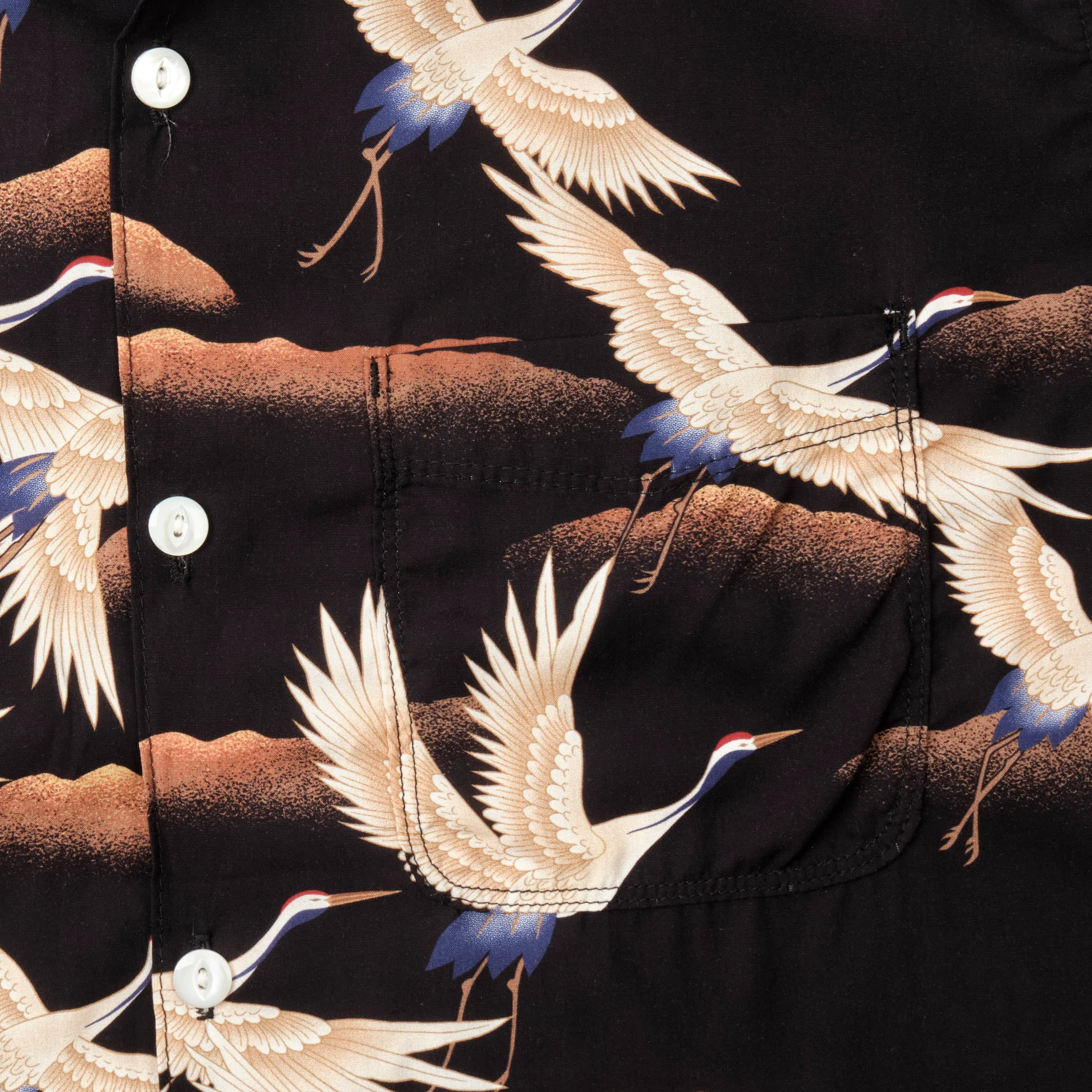 Hawaiian Black Crane - Image 5