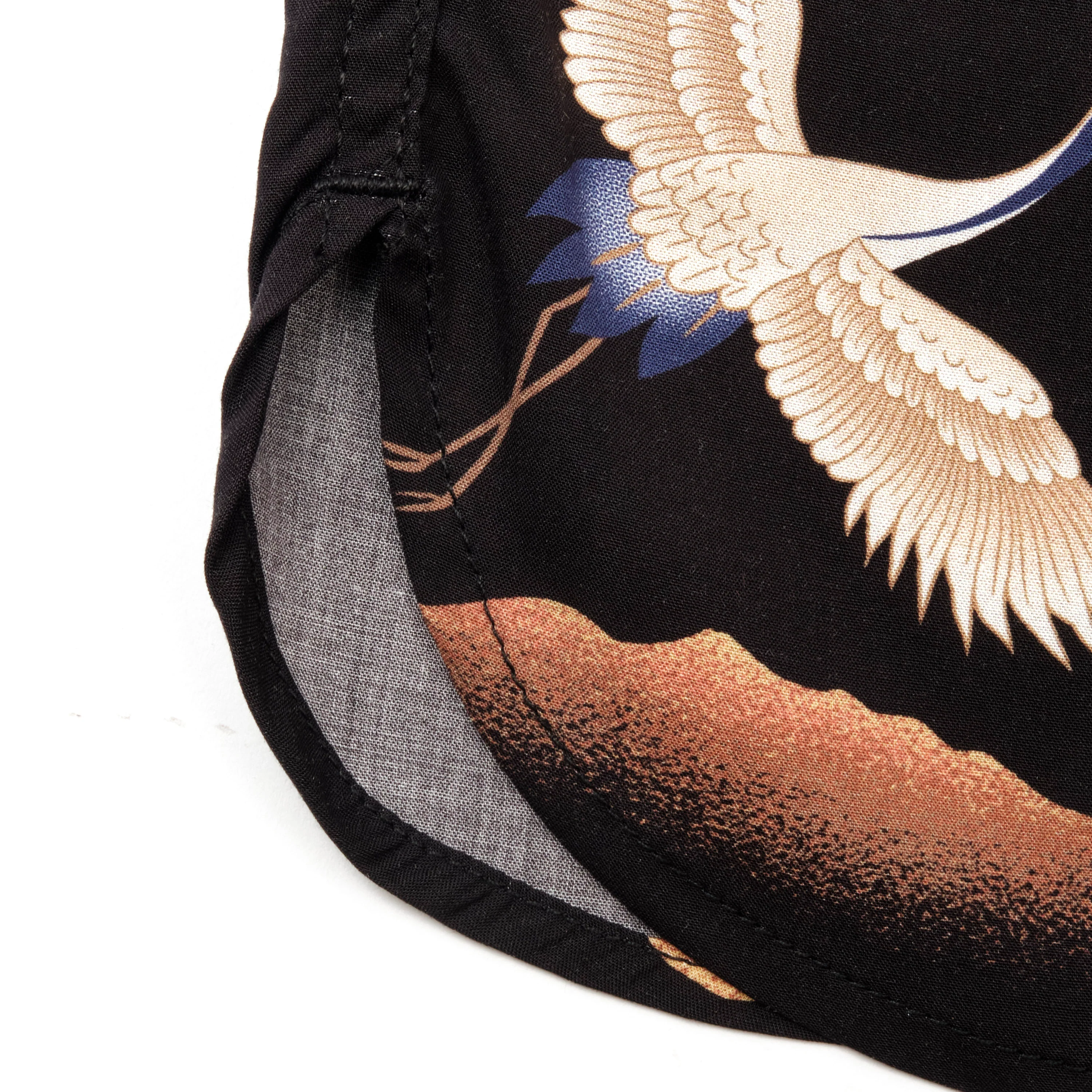 Hawaiian Black Crane - Image 7
