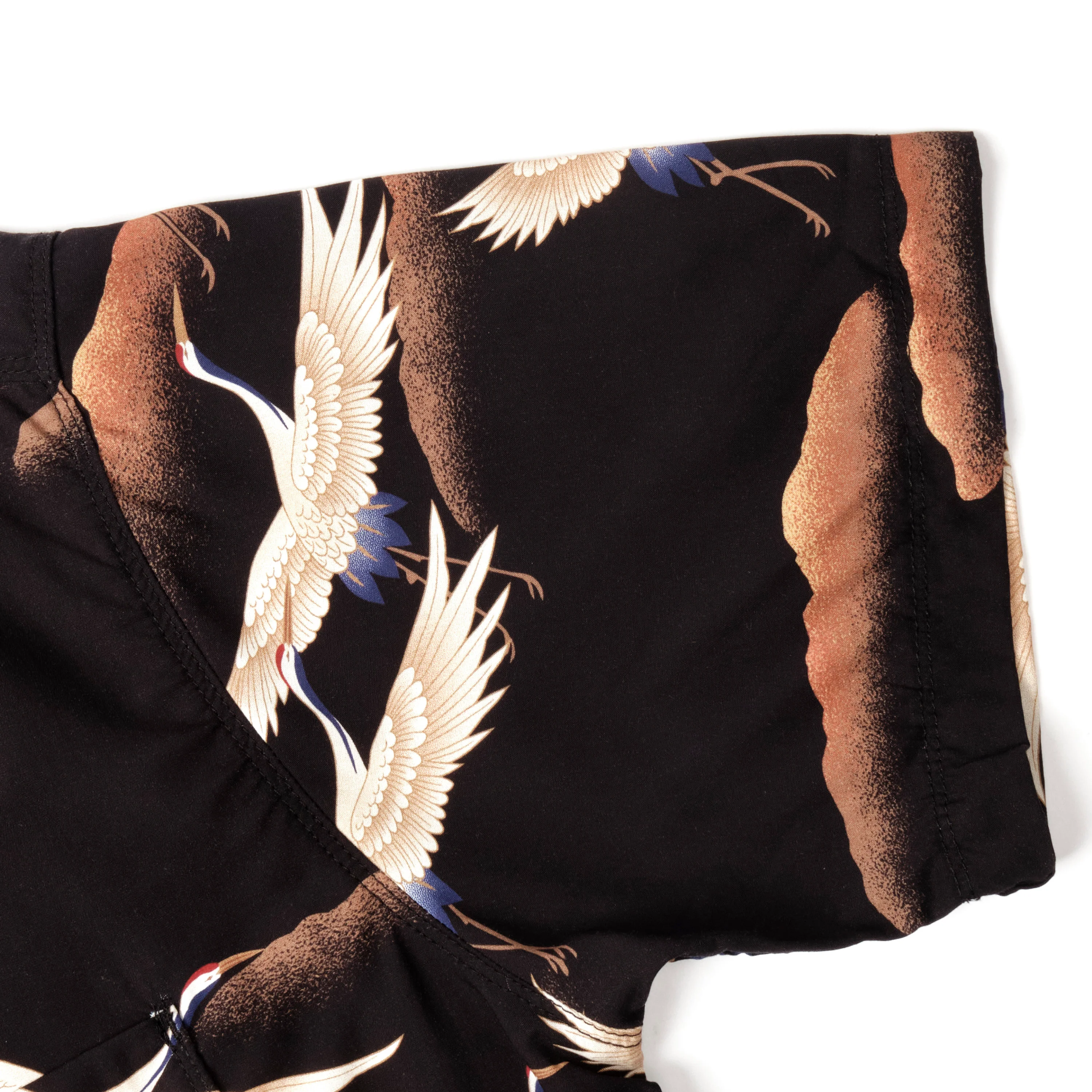 Hawaiian Black Crane - Image 8